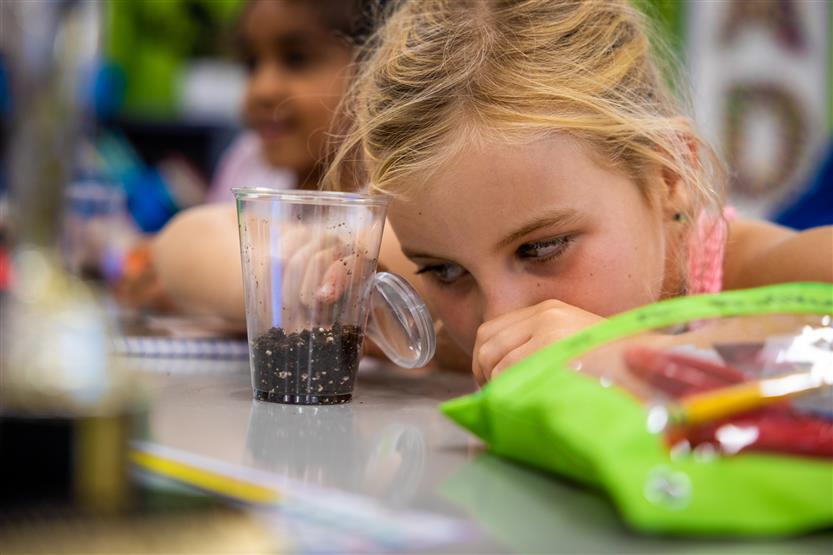 A girl with blonde hair looks closely at a seed through a magnifying glass
